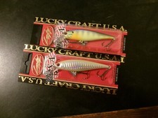 Lucky craft pointer for sale  Hamilton