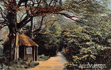 CARTÃO POSTAL - ESSEX - BRENTWOOD - THE SUMMER ARBOURE - WARLEY GROUNDS, usado comprar usado  Enviando para Brazil