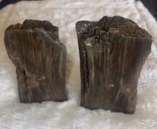 ends petrified wood book for sale ends petrified wood book for sale Hudson