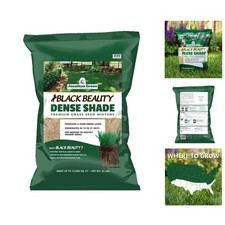 beautiful grass for sale beautiful grass for sale Chino Hills
