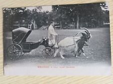 Cpa attelage animaux d'occasion  Étain