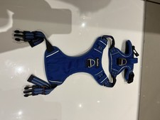 Medium size dog for sale  BIRMINGHAM