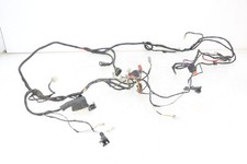 Wire harness piaggio d'occasion  France