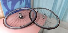 Ruote campagnolo veloce usato  Palermo
