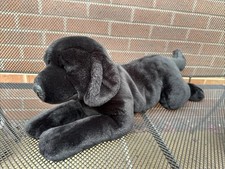 Toys labrador puppy for sale  DERBY