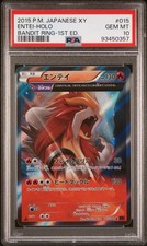 Pokemon entei 015 usato  Sant Elpidio a Mare