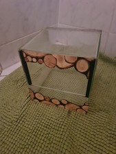 Spinnenenwürfel glasterrarium gebraucht kaufen  Berlin