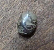 Stromatolith usa meiner gebraucht kaufen  Rosenberg