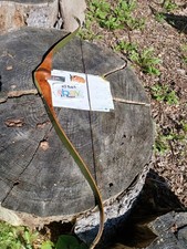 Vintage bear archery for sale  Randolph