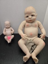 Realistic anatomy correct for sale  Las Vegas