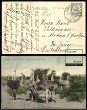 Windhuk 1913 kolonial gebraucht kaufen  Berlin