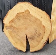 live edge pine slab table for sale  Chambersburg
