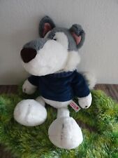 Nici husky hund gebraucht kaufen  Kassel