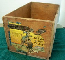 Vintage buckaroo apples for sale  Temple