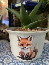 pots houseplants for sale pots houseplants for sale CINDERFORD