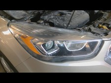 Passenger headlight halogen for sale  Cape Girardeau