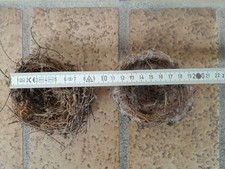 Echtes vogelnest deko gebraucht kaufen  Aiterhofen
