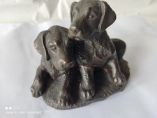 Labrador puppies bronze for sale  NEWPORT