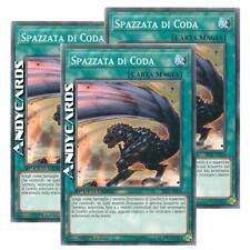 Spazzata coda comune usato  Ravenna