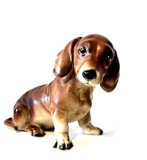 Lefton dachshund puppy for sale  Flushing