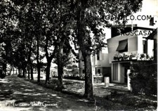 Turriaco cod.c803 viaggiata usato  Trivignano Udinese