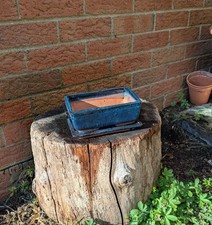 Rectangular bonsai pot for sale  WEST DRAYTON