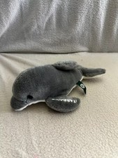 Stardance small dolphin for sale  WATFORD