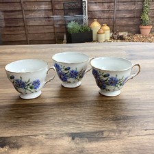 Royal vale cornflower for sale Royal vale cornflower for sale  LEIGHTON BUZZARD