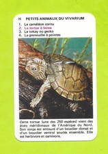 Carte petits animaux d'occasion  Nancy-