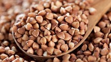 Gryka Kora - Lileja - Fagopyrum esculentum - 50+ nasion - Nasiona - Am 093 na sprzedaż  Wysyłka do Poland