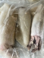 Frozen whole squid for sale  CAMBORNE