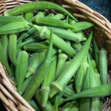 Okra seeds clemsons for sale  RUGBY