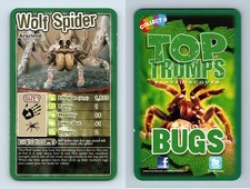 Wolf spider bugs for sale  SLEAFORD