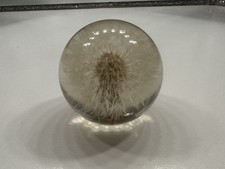 hafod grange paperweights for sale hafod grange paperweights for sale ST. ALBANS