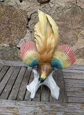 Grand oiseau paradis d'occasion  Saint-Etienne