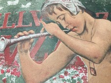 Abruzzo artistica illustrazion usato  San Severo