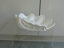 Wedgwood white shell for sale  WORTHING