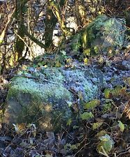 Waterworn westmorland limeston for sale  WORKINGTON