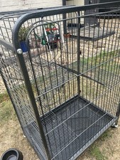 Ferret rat chinchilla for sale  NEWARK