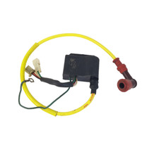 Cdi centralina elettronica usato  Fasano