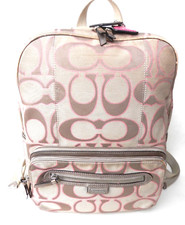 Large coach signature for sale  Longs