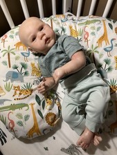Authentic bountiful baby for sale  Sterling Heights