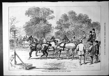 Old print barnstaple for sale  UK