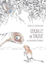 Gerbille tortue rommelpot d'occasion  Expédié en Belgium