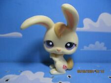Petshop garenne rabbit d'occasion  Expédié en Belgium