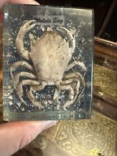Real corystes cassivelaunus for sale  CHESTER