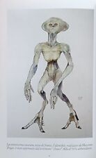 Creatura mortegliano libro usato  Vajont