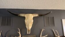 Longhorn skull for sale  Carlisle