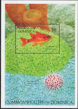 Dominica 1992 pesce usato  Trambileno