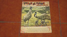 Tutte fiabe racconti usato  Italia